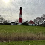 Kleiner Seehund