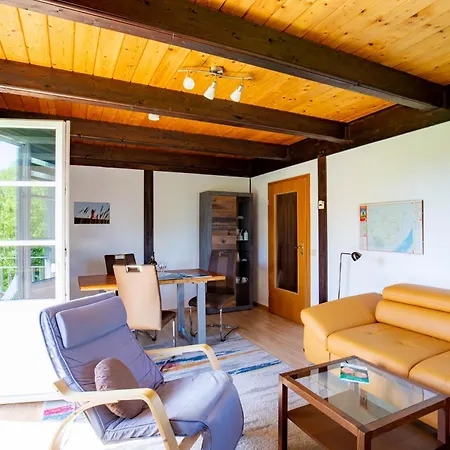 Kleiner Seehund Pellworm