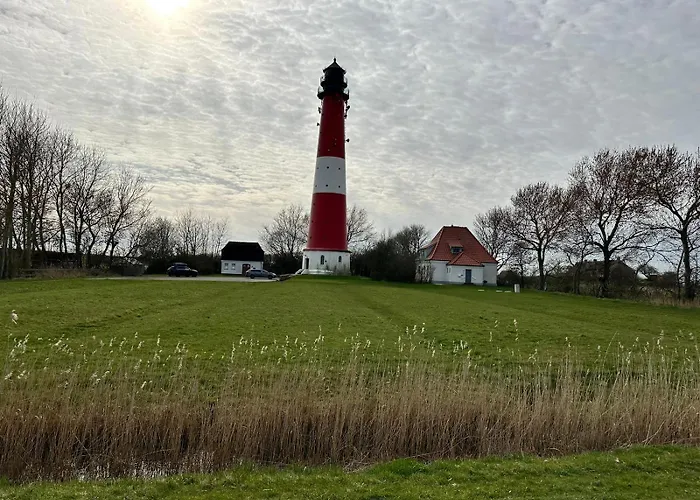 Kleiner Seehund Pellworm