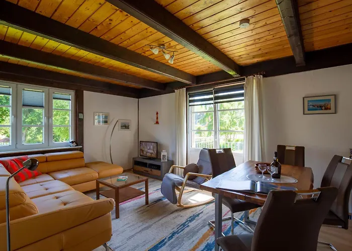 Kleiner Seehund Pellworm